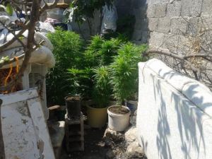 Tarsus’ta 10 Kilo Kubar Esrar Ele Geçirildi