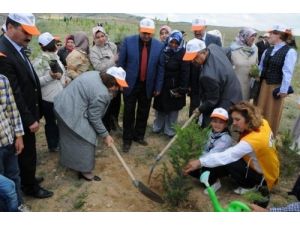 Madenciler Anısına 301 Fidan Dikildi