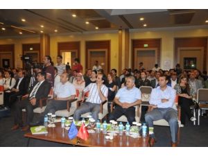 15 Bin Kadın Aile İçi Şiddete Maruz Kaldı