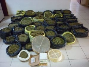 Zehir Taciri Tutuklandı