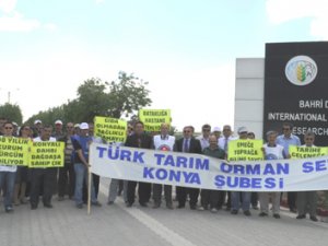Enstitü arazisine hastane yapılmasın