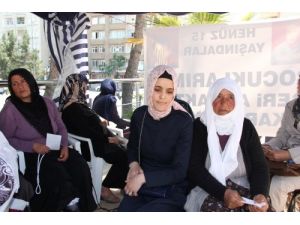 Diyarbakırlı Annenin Feryadı: Oğlumun Kemik Erimesi Var, Dağda Ne Yapar?