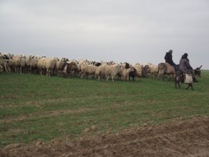 Köyde ithal işçi dönemi