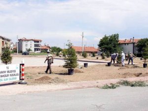 Karatay'da ağaçlandırma çalışmaları
