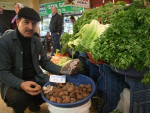 Domalan bu yıl pazara çıkmadı