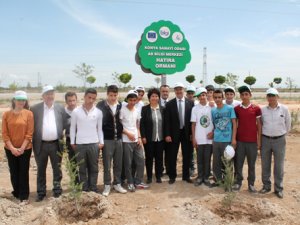 Organize Sanayi Bölgesi yeşillendi
