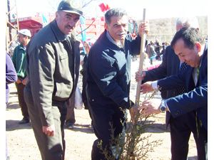 Her milletvekili için bir ağaç dikildi