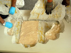 Sünger arasında uyuşturucu