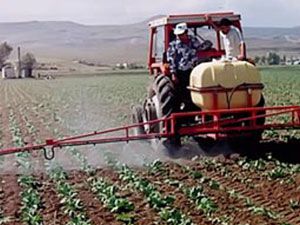 Toprağı olmayan çiftçiye toprak müjdesi