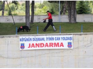 Jandarmanın 175. Kuruluş Yıldönümü Törenle Kutlandı