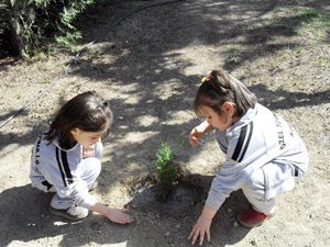 Öğrencilerden ağaçlandırmaya destek