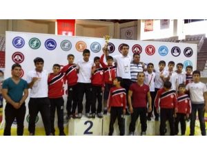 Batman Petrolspor Güreş Takımı, Türkiye İkincisi Oldu