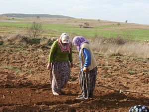Arazilerde ekim telaşı başladı