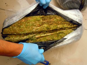 Sulama borularından 115 kilo esrar çıktı