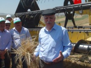 Tzob Başkanı Bayraktar: Verimli Tarım Arazilerini İmara Açmayın, Artık Yeter