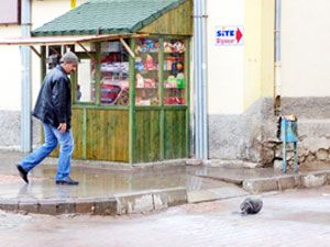 Alev alan piknik tüpü korkuttu