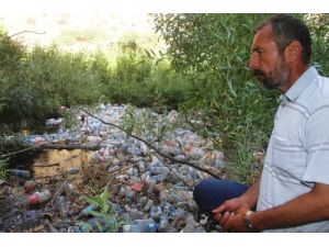 Beyazsu’da Çevre Kirliliği Tehlike Sinyalleri Veriyor