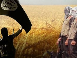 PYD'ye 'vergi', IŞİD'e 'zekât'