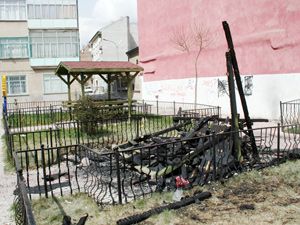 Şehir eşkıyaları parkı tahrip etti