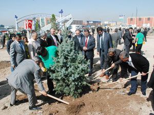 Karatay’da 3 bin fidan toprakla buluştu