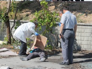 Çıktığı direkten düşerek öldü