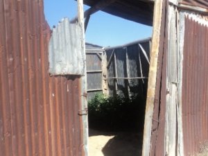 Yakalanınca "içiciyim" dedi