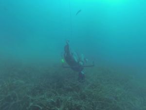 Yüzde 40 Engelli Dalgıç Rekor Denemesi Yaptı