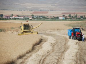 Poje yarışı hızlandı