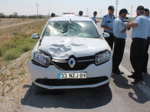 Uygulama yapan polisi çarptı
