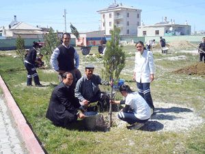 Karapınar sağlık ocağında ağaçlandırma çalışmaları