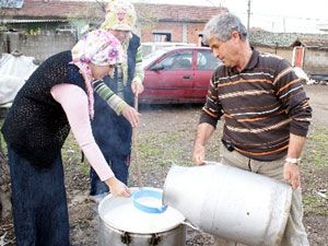 Üretici 'ucuz' diye sütü satmıyor, peynir yapıyor