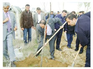 Altınekin'de polis ormana ağaç dikti