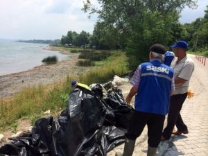 Sapanca Gölü'nde Su Çekilmesiyle Ortaya Çıkan Çöpler Temizleniyor