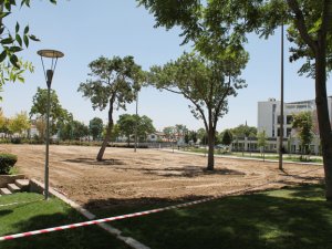 Kültürpark’a yeni gül bahçesi