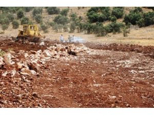 15 Yıllık Mezra İlk Kez Yolla Tanıştı