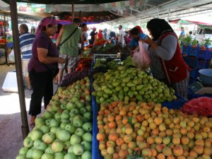 Meyve fiyatları el yakıyor