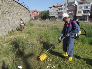 Bafra Şehir Stadyumu'nun Çevre İlaçlama Ve Temizliği Yapılıyor