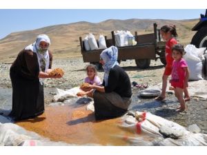 Muş’ta Buğday Yıkama Telaşı Başladı