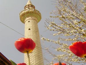 Köy imamının çiçek sevgisi