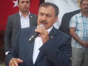 Bakan Eroğlu'ndan Yolun Açılmasını İsteyen Muhtara: Yolunu Belediye Yapsın