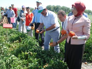 'İyi Tarım' meyve verdi