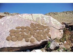 Yayla Peyniri Ve Tereyağı Sofralarımıza Böyle Geliyor (Özel)