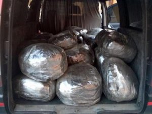 280 kilo esrarla yakalandı