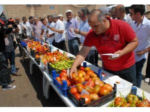 Tuzhisar'da Domates Festivali Yapıldı