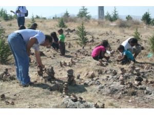 Hacıbektaş'ta Delikli Taş İzdihamı