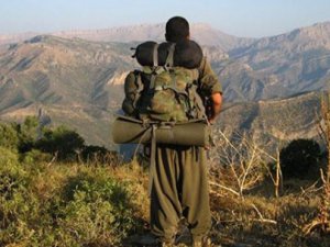 PKK, Almanya'dan silah istedi