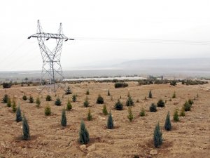 'Hatıra'larda kalmasın!