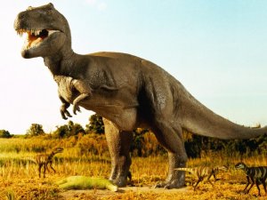 Dünyanın En Büyük Dinozorlarından Birisine Ait Fosiller Bulundu