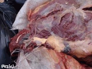 Çalıntı at etini satmak istediler