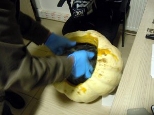 Balkabağından 2 kilo esrar çıktı